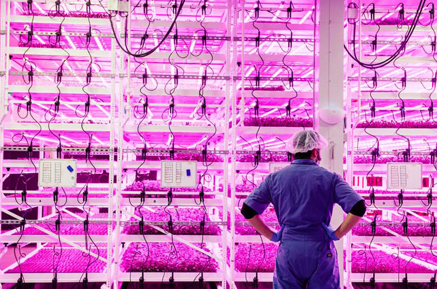 Agriculture warehouse storage solutions