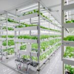 Tips for Estimating Vertical Farming Costs
